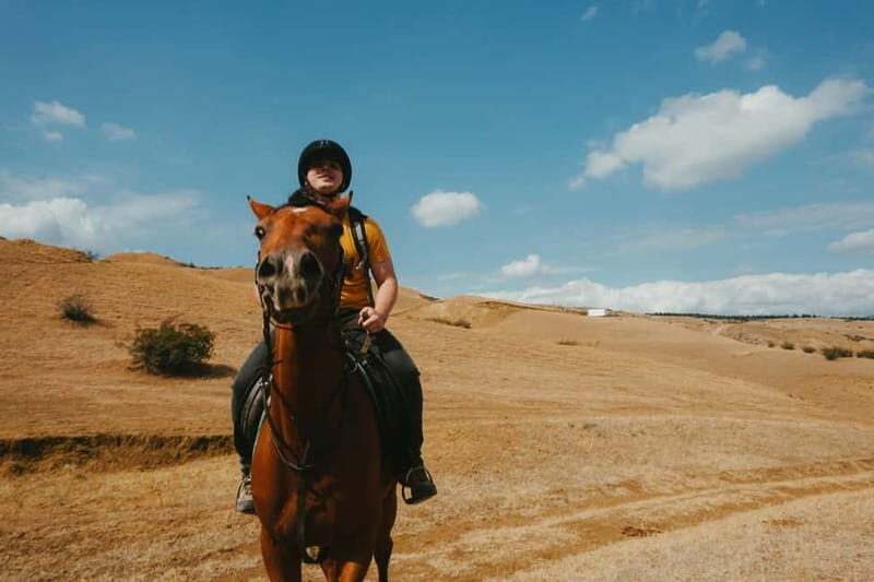 Tbilisi: Horseback Riding Experience - Why People Are Raving About It