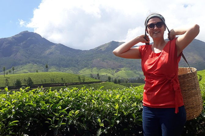Tea Farm Tourism - Key Points
