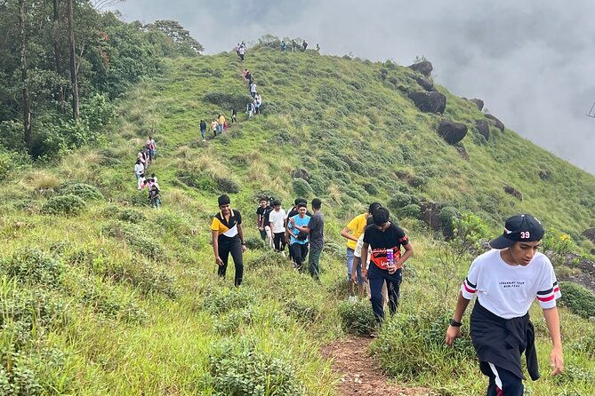 Tea Plantation, Grass Land and Mountain Hiking in Munnar - Starting Point and Timing