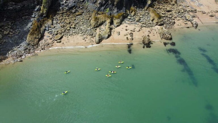Tenby: Guided Kayaking Adventure - Is It Worth the Price?