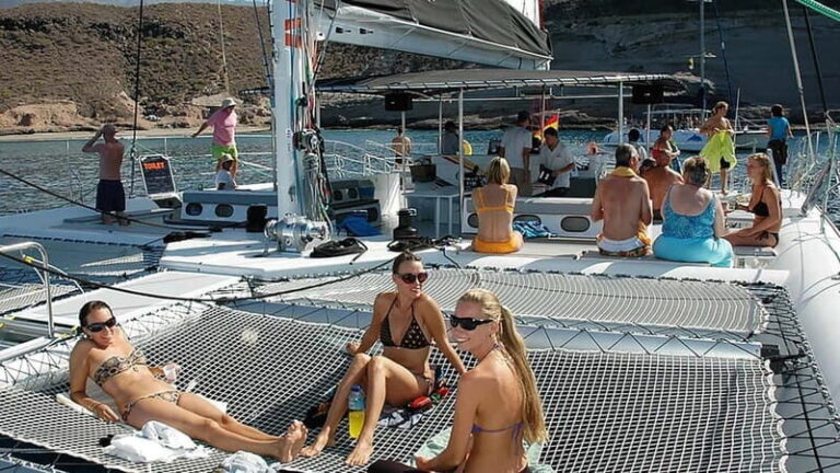 Tenerife: Catamaran Cruise with an Open Bar - Practical Tips for a Great Experience