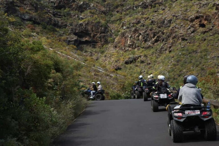 Tenerife: Coastal Sights to Woodland Heights Quad Tour - Coastal Views and Panoramic Vistas