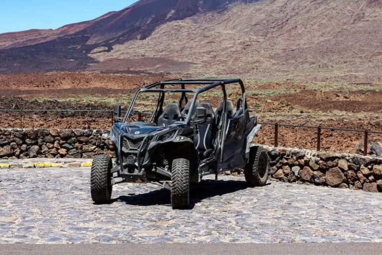 Tenerife: Family 4seats Buggy Tour of Teide - The Ride: Comfort, Safety, and Practicalities