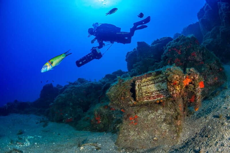 Tenerife: Guided Dive and Scooter Experience - What You Can Expect During the Tour