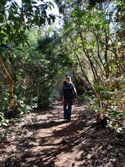 Tenerife: Guided tour guide in the Anaga Rural Park - What to Expect on the Tour