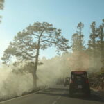 Tenerife: MORNING - Family 4seats Buggy tour of Teide - Why This Tour Stands Out