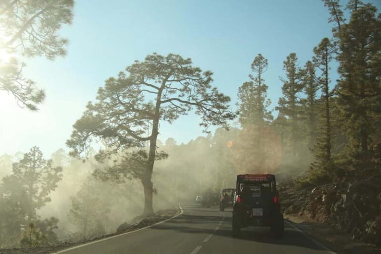 Tenerife: MORNING - Family 4seats Buggy tour of Teide - Why This Tour Stands Out