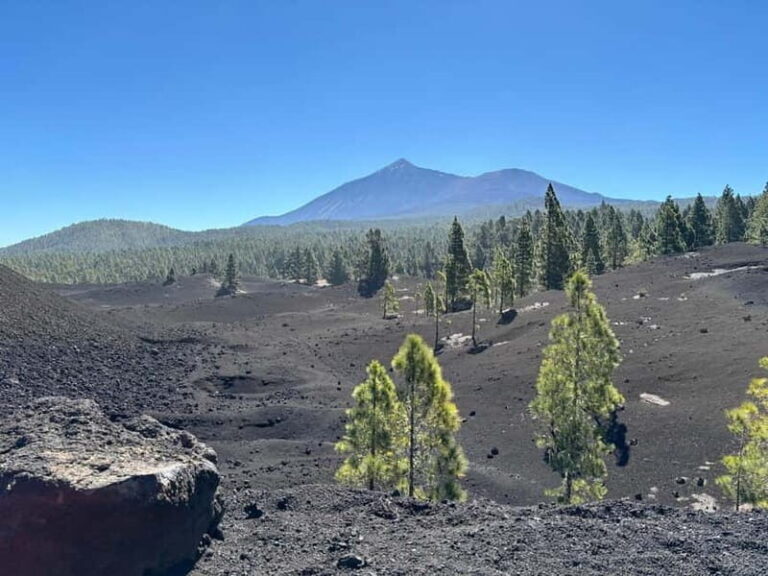 Tenerife: premium e-bike ride at Chineyro volcanic area - What Sets This Tour Apart