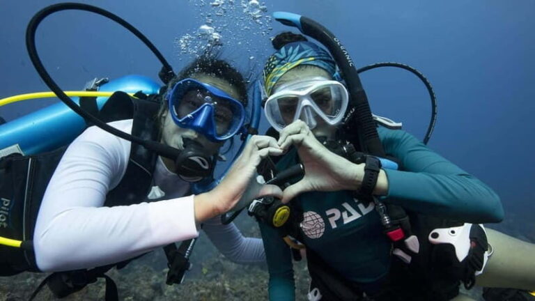 Tenerife: Private Scuba DivingCertified Instructor & Photos - The Itinerary in Detail