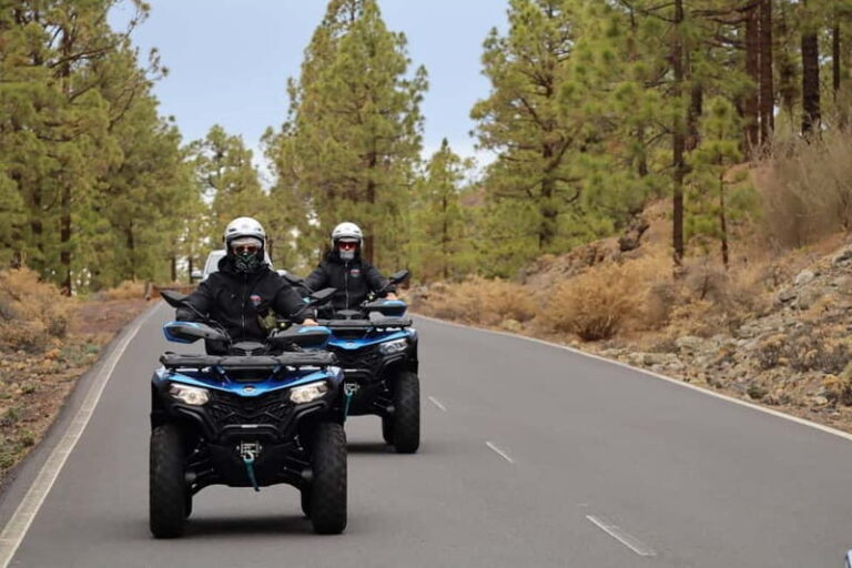 Tenerife: Quad Day Trip Teide National Park - Who Should Consider This Tour?