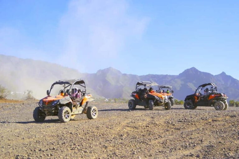 Tenerife: South Coast Buggy Tour with Off-Roading - The Route and Highlights