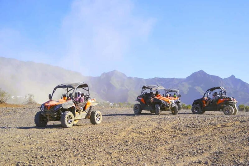 Tenerife: South Coast Buggy Tour with Off-Roading - The Route and Highlights