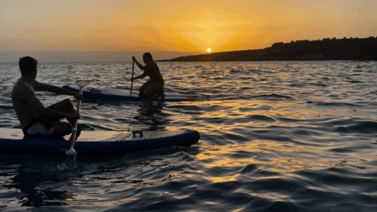Tenerife: Sunset Stand-Up Paddleboarding Tour - The Experience: What to Expect on the Tour