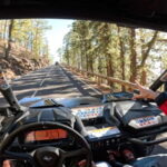Tenerife: Teide National Park Guided Buggy Tour - The Value for Money