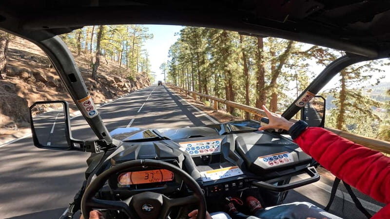 Tenerife: Teide National Park Guided Buggy Tour - The Value for Money