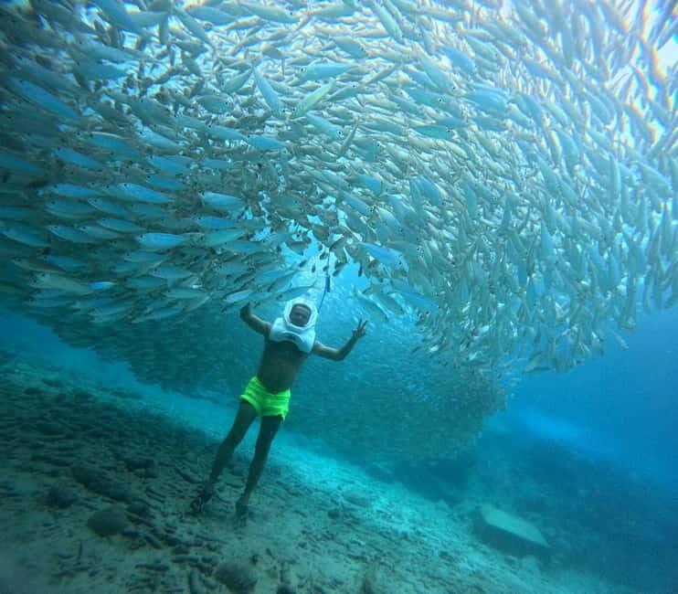Tenerife: Underwater Walk - Sea Trek Experience - What the Experience Feels Like