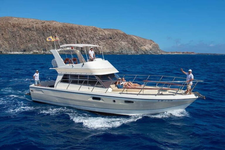 Tenerife: Whale watching tour with swim and lunch on yacht for 22 passengers - Why This Tour Is a Great Choice