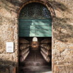 Tenimenti d'Alessandro - Visit the winery and wine tasting - Who Will Love This Experience?