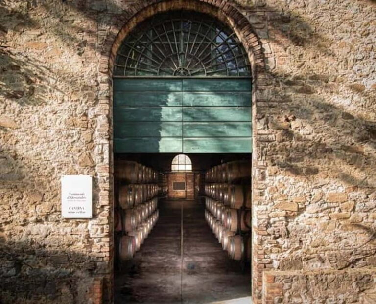 Tenimenti d'Alessandro - Visit the winery and wine tasting - Who Will Love This Experience?