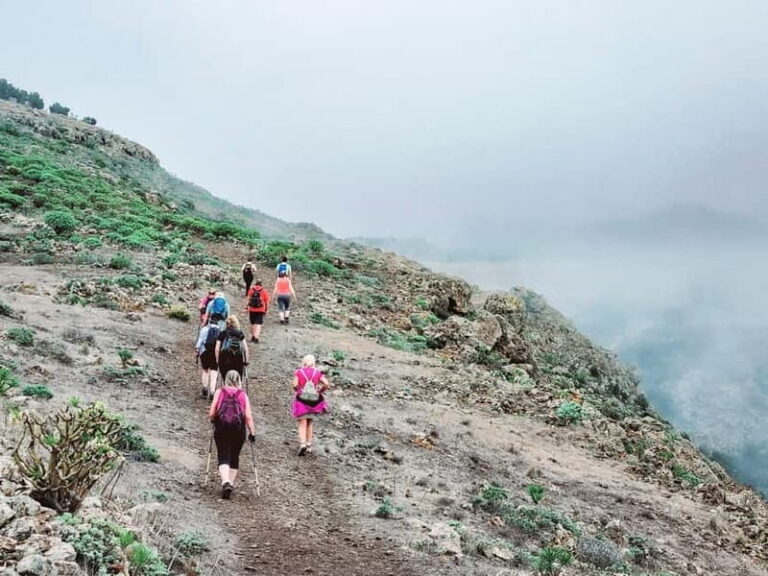 Teno Mountains Tenerife: Highlands Guided Hike & Garachico - Practical Details and What You Need to Know