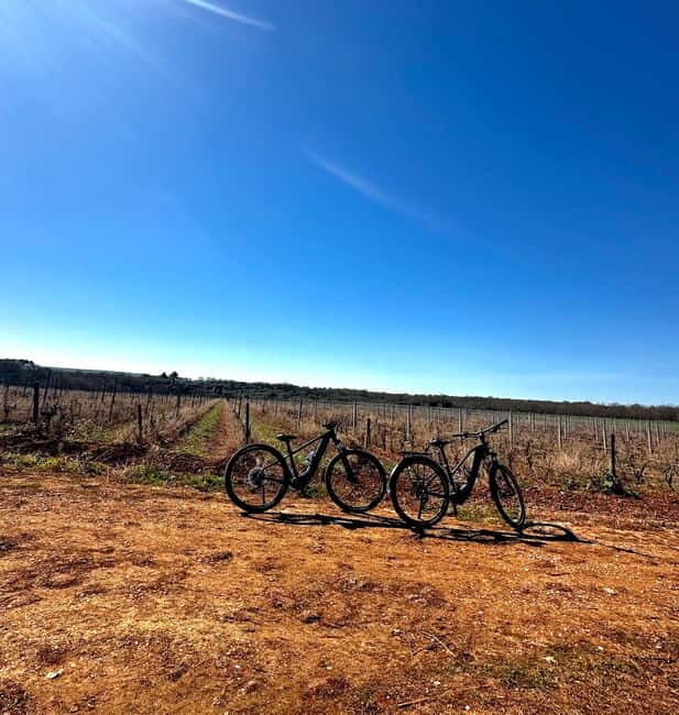 Tenute Girolamo: Wine & Bike Tour in the Itria Valley - Exploring the Itinerary and What You Can Expect