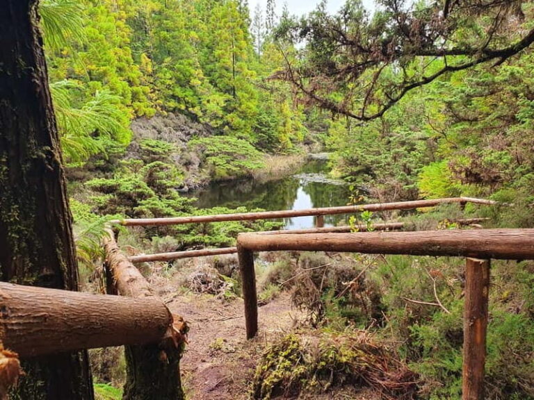 Terceira Island: Mistérios Negros & Mist. Novo Hike w/picnic - Detailed Breakdown of the Itinerary