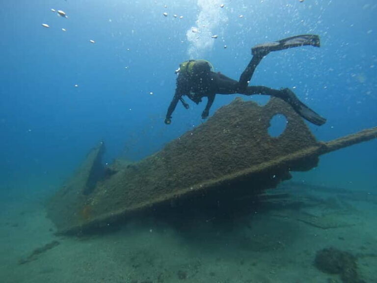 Terceira Island:Try Scuba in a Shipwreck-Archeological park - Why This Tour Offers Excellent Value