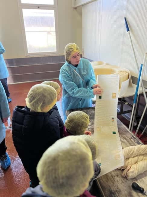 The Art of Parmigiano Reggiano & Aged Balsamic Vinegar - A Closer Look at the Experience