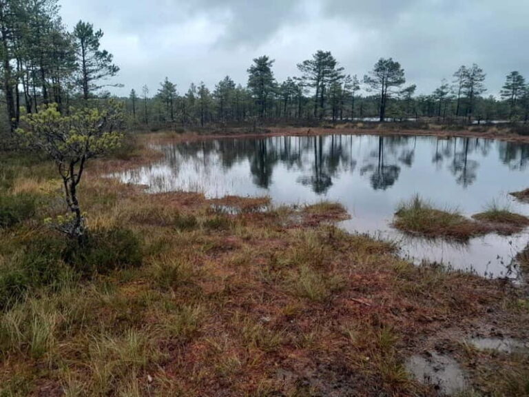 The Authentic Lahemaa daytour Carmen reisid - Lahemaa National Park: The Natural Heart of the Tour