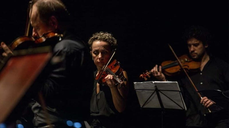 "The Four Seasons" by Vivaldi in Padua - Who Will Love This Experience?