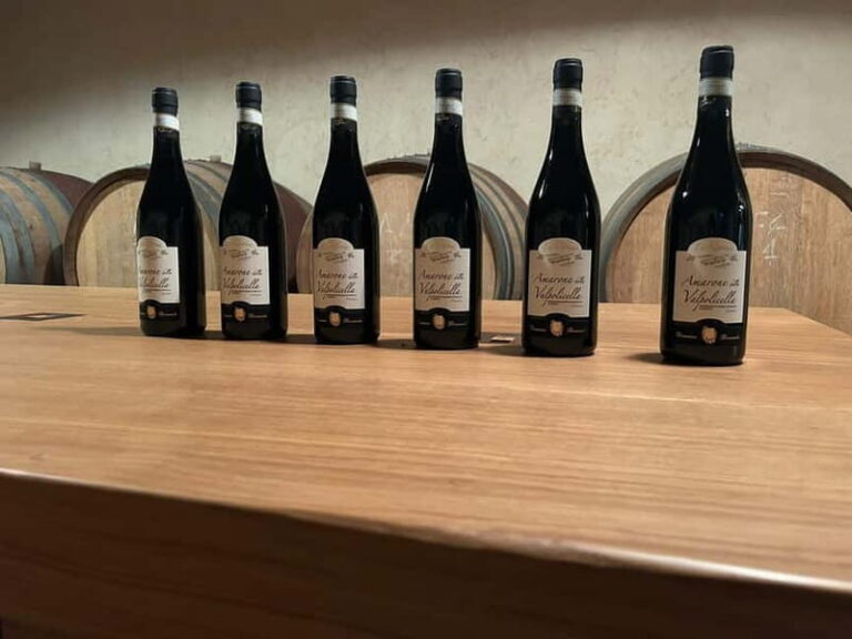 The grand tour of Amarone: 2 wineries, lunch & Amarone focus - Practical Details & Value