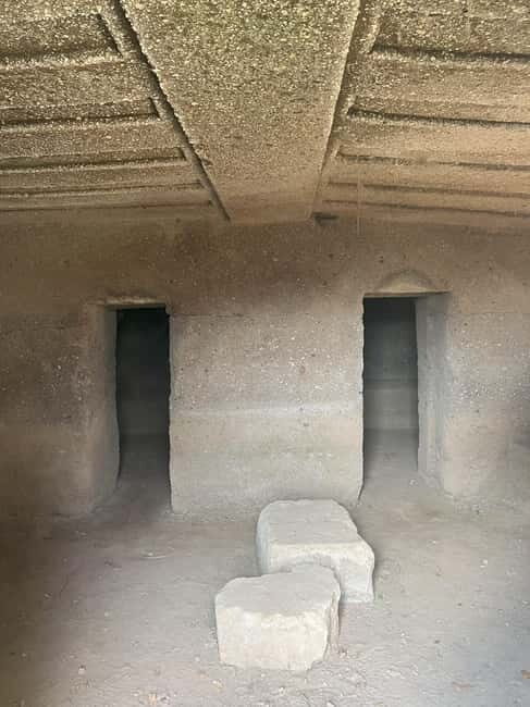 The Lamone Forest: among brigands and charcoal burners - Who Would Love This Tour?