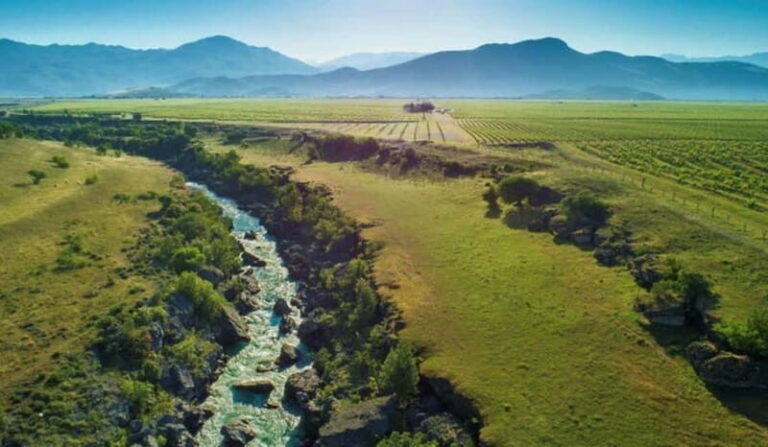 The largest winery in Montenegro: private tour & transport - Introduction to the Winery Experience