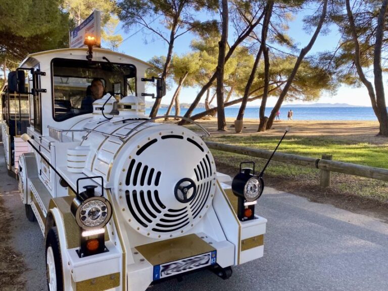 The Little Train of La Londe-les-Maures - The Itinerary Breakdown