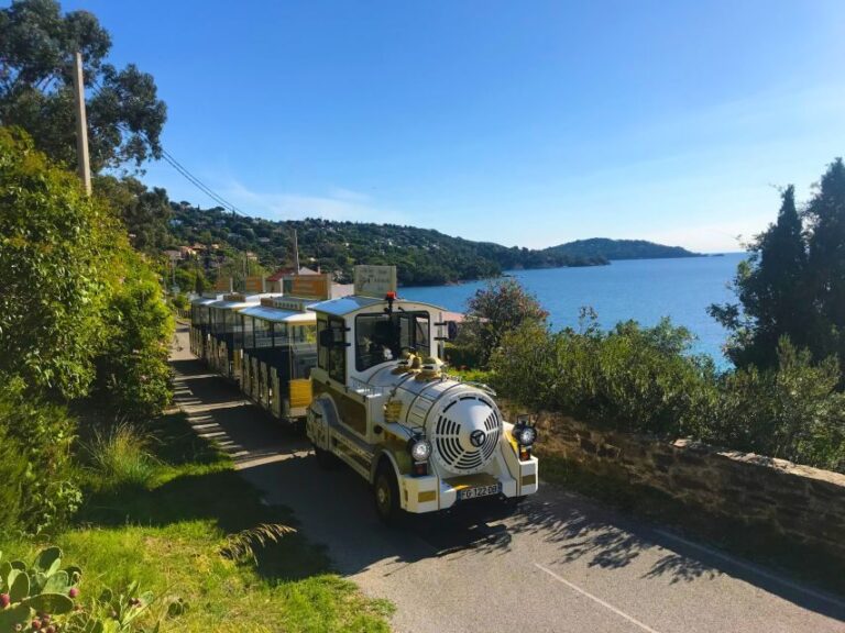 The Little Train of Lavandou's beaches - Why This Tour Works Well