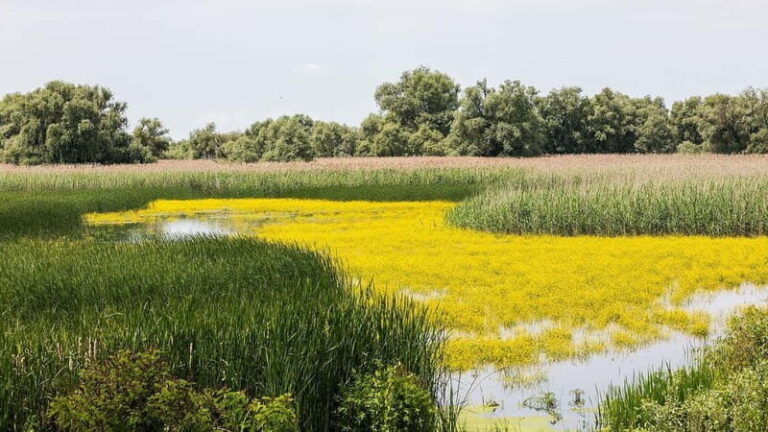 The Magic of Transylvania and the Danube Delta: 8 Days - Practical Tips for Travelers