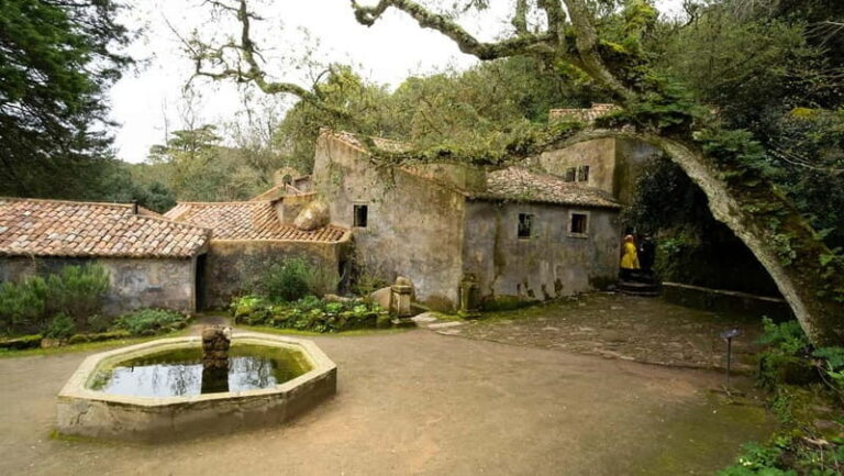 The Other Side of Sintra - Forgotten Woods Tour - The Value of This Tour: Who Wins & Who Might Not