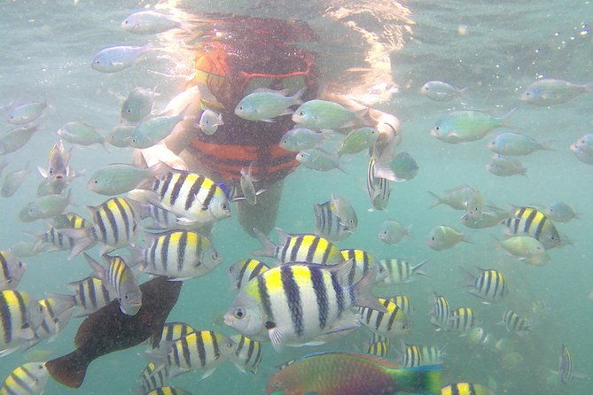 The Southwest Secret Gilis: Gili Nanggu, Gili Sudak, & Gili Kedis - Key Points