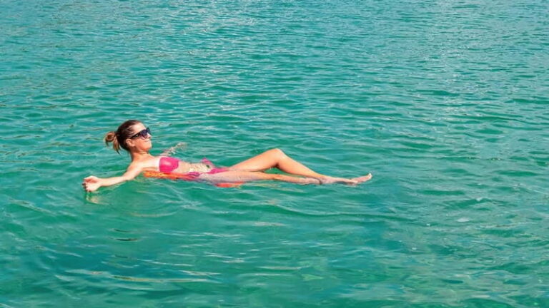 Thessaloniki: Halkidiki/Sithonia Swim, Sunset & Olive Tour - Exploring Halkidiki: What to Expect from the Tour