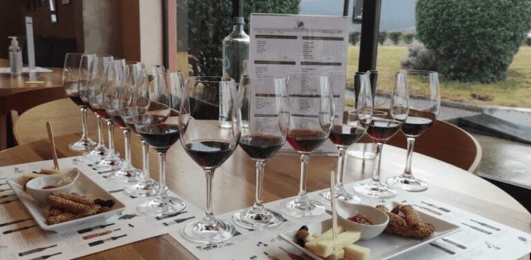 Thessaloniki: Naousa Wine Region Private Day Tour - Practical Details and What to Expect