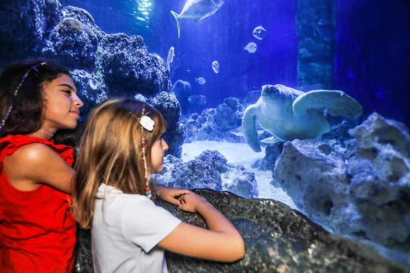 Ticket to SEA LIFE Konstanz - Who Will Enjoy This Experience Most?