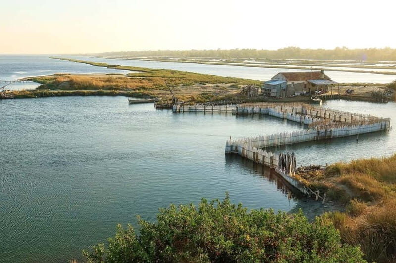 Tirana & Durres :Karavasta Lagoon & Apolonia with Breakfast - Final Thoughts