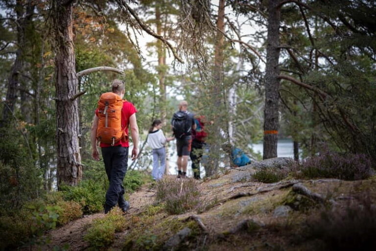 Tiveden National park: Summer guided walk around Stenkälla - Discovering Tiveden National Park: An In-Depth Review
