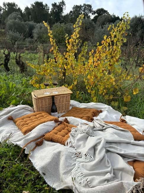 Tomar: Wine Picnic for Two - What to Expect During Your Wine Picnic