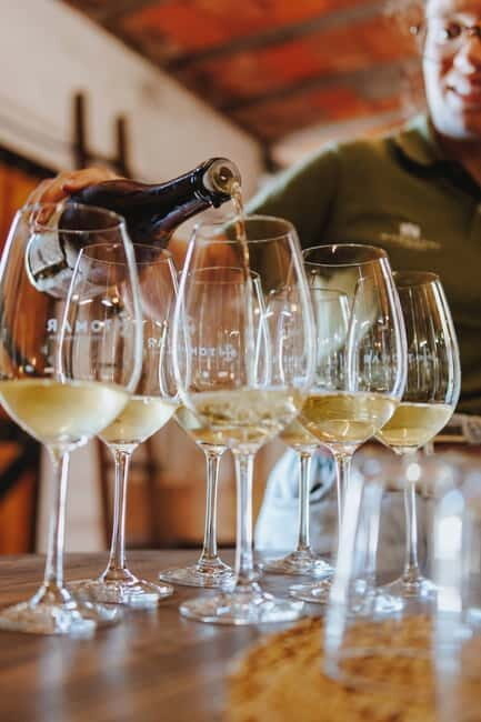 Tomar: Wine Tasting with Vinotherapy - A Closer Look at the Experience
