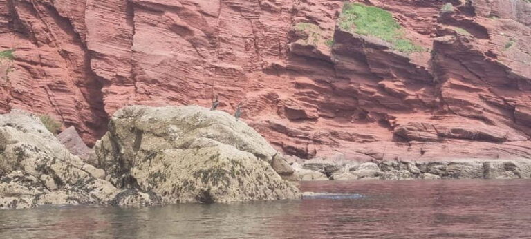 Torquay: Canoe Rental - What to Expect in Detail