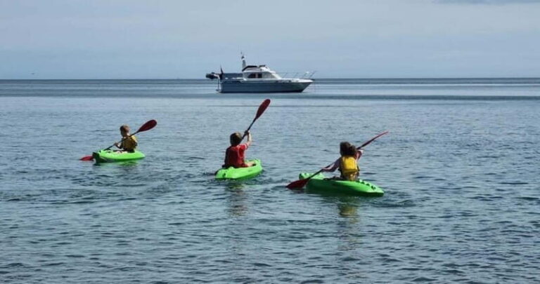 Torquay: Kayak Rental with Sit-on-Top and Sit-in Kayaks - Deep Dive into the Experience