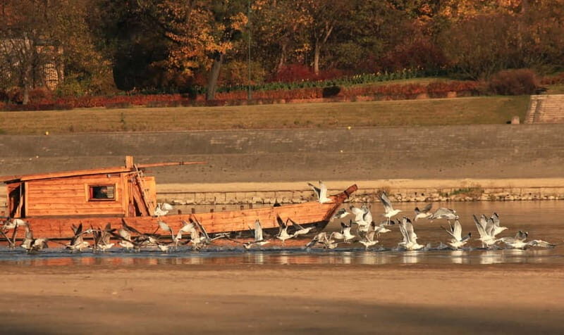 Toru: Sightseeing Cruises on the Vistula River - The Highlights: Why Youll Love It