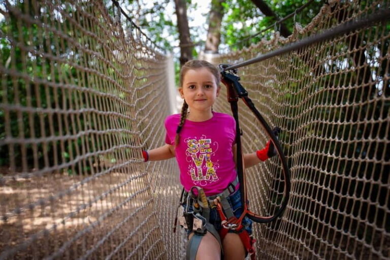 Toulon: Tree climbing course - What to Expect from Your Tree Climbing Experience