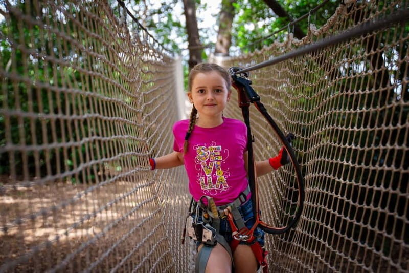 Toulon: Tree climbing course - What to Expect from Your Tree Climbing Experience